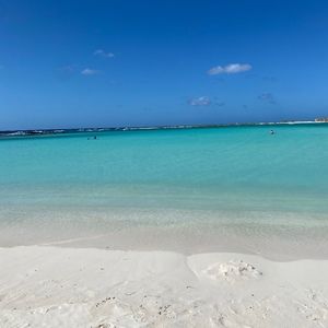 Meet your Posher, Aisha